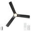 56" Modern Farmhouse Reversible Quiet Motor Ceiling Fan Light with Dark Grey ABS Blades