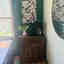 Customer photo 2 of 3