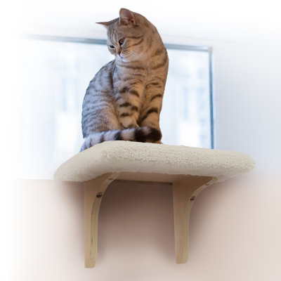 11 " H Cat Perch