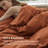 Bedsure 100% Washed Cotton Duvet Cover Queen Set - Minimalist Cotton Beding Set For All Season（set of 3）-125402780-106246591