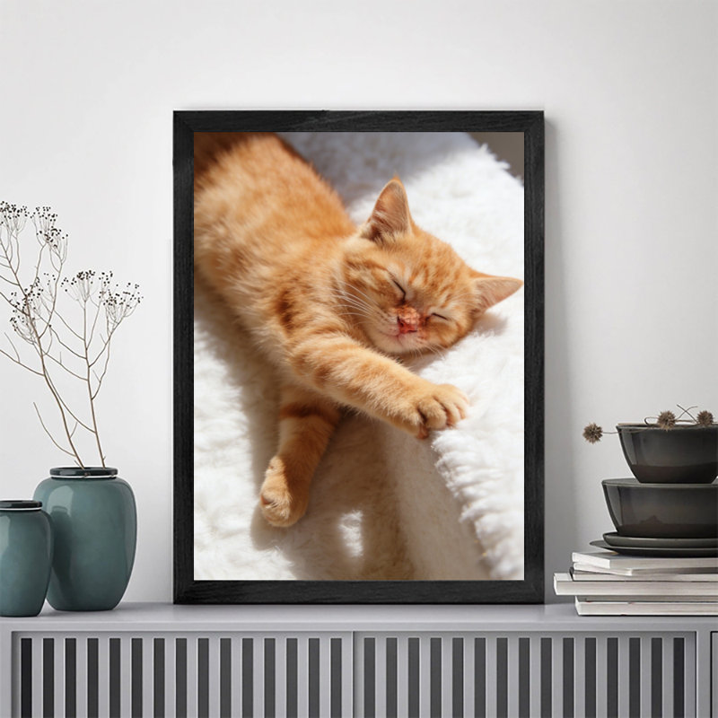 Reproduction d'art encadré noir avec joli chat orange, H 11 po x l 9 po