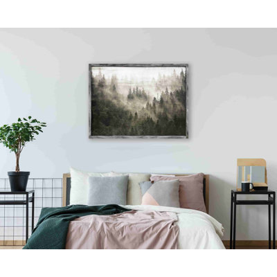 " Foggy Pine Forest "