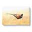 A Pheasant Bird In Abstract - Wrapped Canvas-55299190
