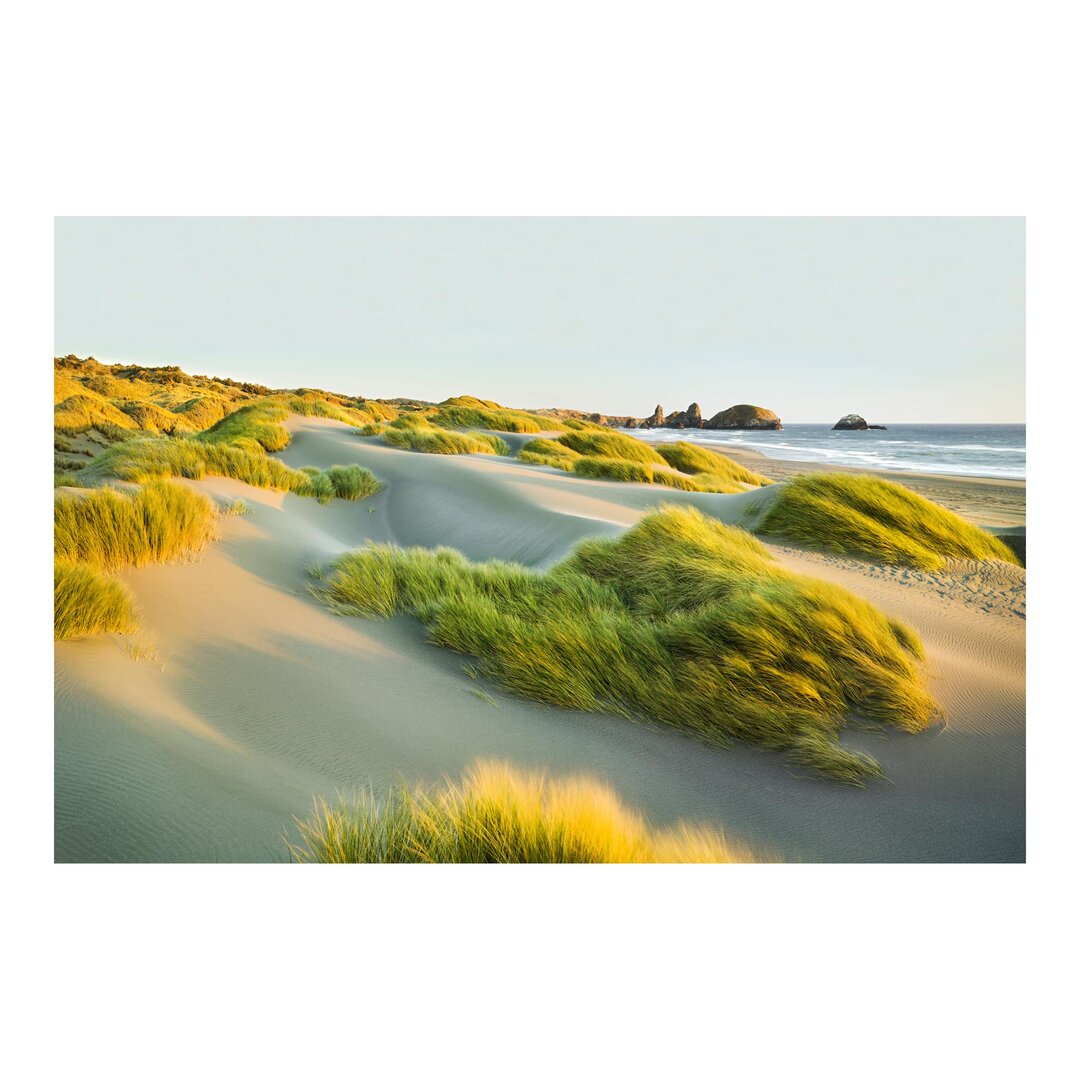 Strukturierte Tapete Dunes and Grass by the Sea 2,55 m x 384 cm