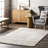 Dorene Contemporary High-Low Striped Wool Area Rug-1773648066