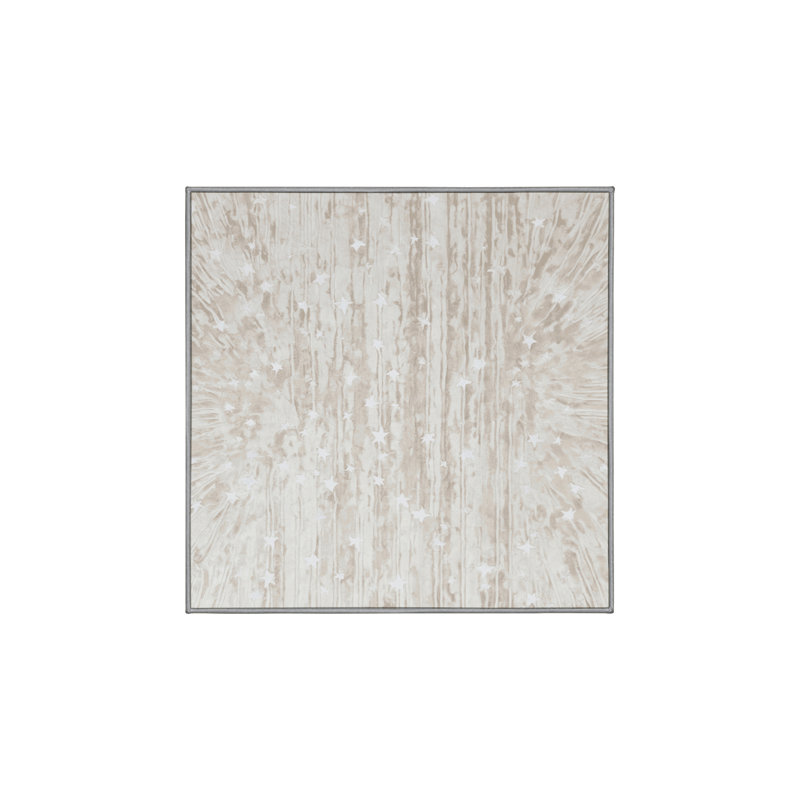 Machine Washable Gray Area Rug, Square 4'