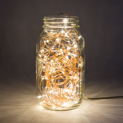 Stollings Outdoor 20 - Bulb 6'' Battery Powered LED Fairy String Light