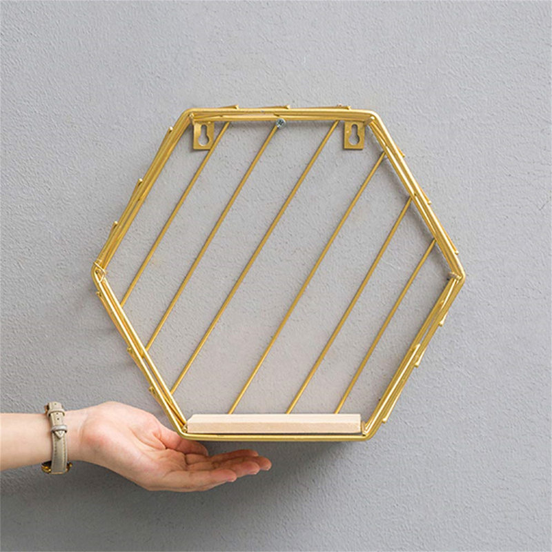 Daeisha 2 Piece Hexagon Floating Shelf