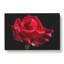 Red Rose Flower Vol.2 - Wrapped Canvas-61837109
