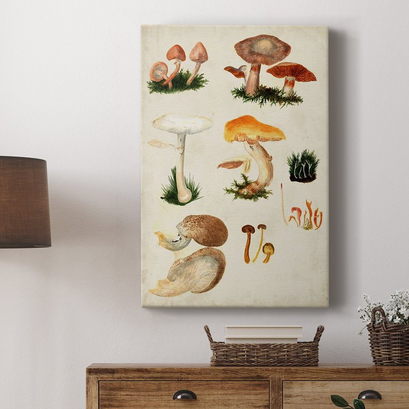 Mushroom Species IV - galerie sur mesure, H 18 po x l 12 po