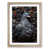 Oak Framed selected