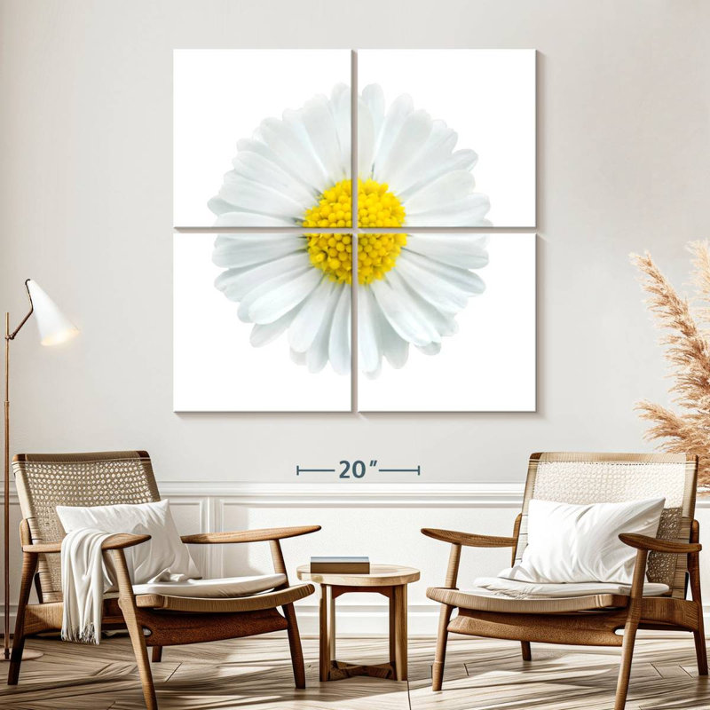 Fleur de camomille blanche, H 57 po x l 57 po