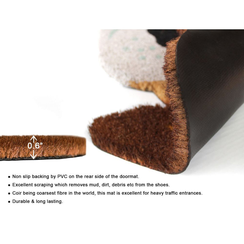 Non-Slip Indoor Doormat