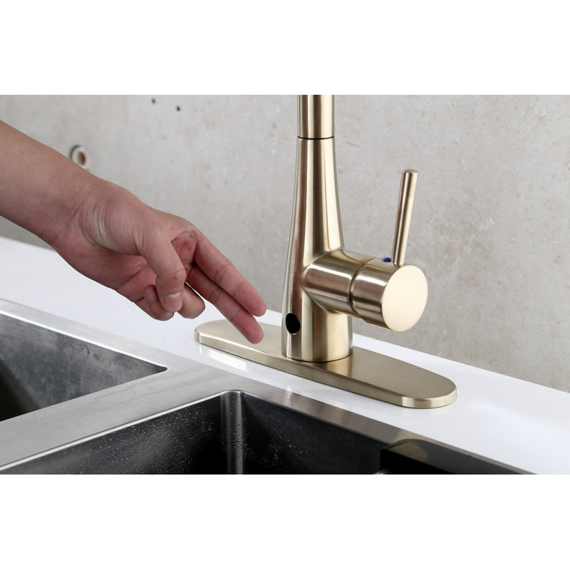 RunFine Group Pull Down Touchless Kitchen Faucet, Matte Gold