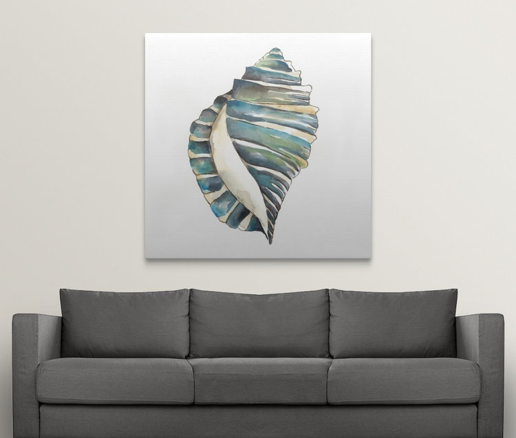«Aquarelle Shells I» par Chariklia Zarris, reproduction d'art, H 30 po x l 30 po x P 1,5 po, Toile