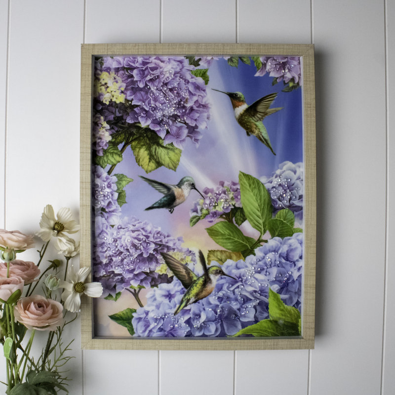 Colibri 12 po x 16 po
