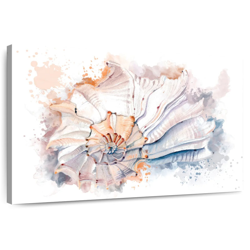 Nautilus seashell splash Aletra, H 30 po x l 45 po