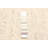 Sienna Tan Rug 5'0" x 7'11"