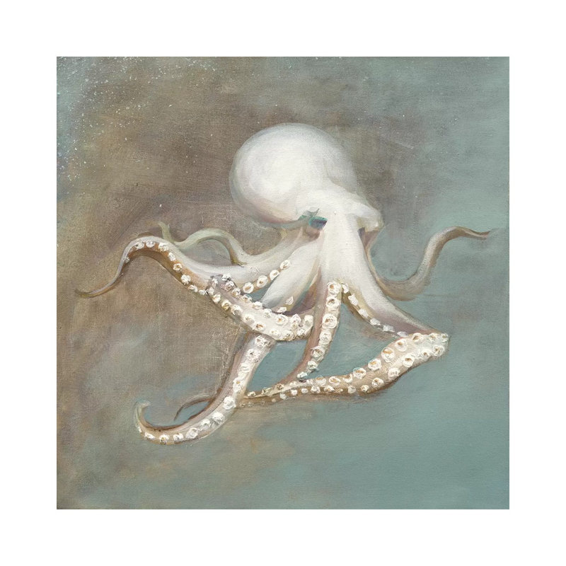 Treasures From The Sea V by Danhui Nai - Print on Canvas, 66.04 cm H x 66.04 cm W x 1.91 cm D, Wrapped Canvas