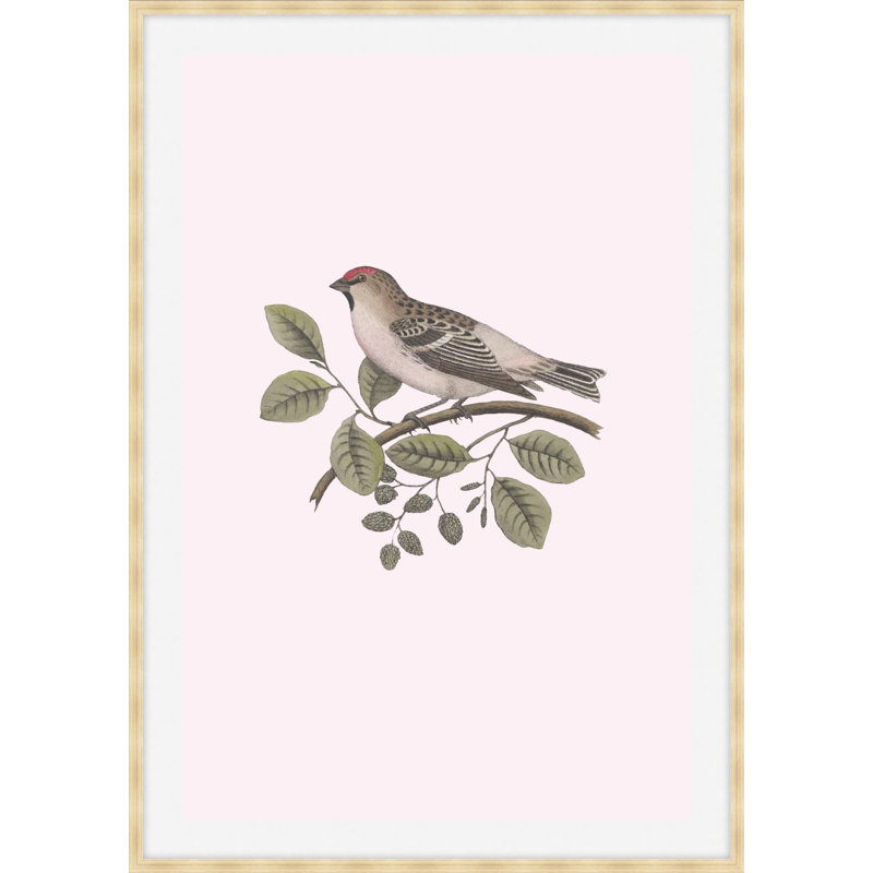 Nesting Navigators Pink 1 Print, 44.75" H x 31.75" W