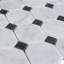 Natural Marble 0.91 in. x 5.83 in. Polished Marble Tile