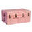 The Iron Brick Trunk - Strongest  Trunk-1467205879