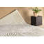 Cankton 200cm X 290cm Area Rug-2088823618