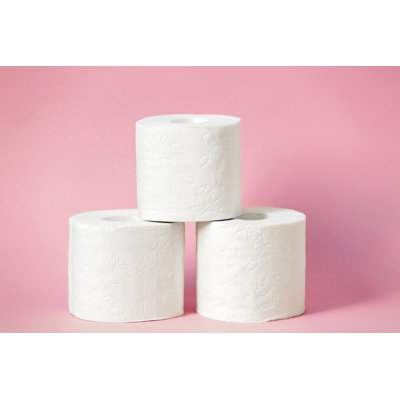 Burov " Toilet Paper Rolls " by Ekaterinasavyolova