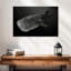 Requin-baleine à taches monochromes-107887042