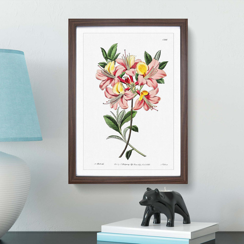 Pretty Pink Azalea Flowers - Picture Frame Painting Print, Walnut Framed, 48cm H x 36cm W x 2cm D
