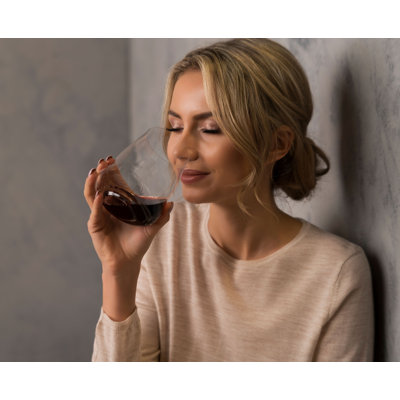 RIEDEL Stemless Wings Pinot Noir/Nebbiolo Wine Glass