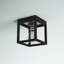 Alynda Flush Mount-1776513225