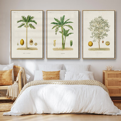 Arbre antique avec fruit II - ensemble de 3 reproductions de photos sur toile