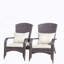 Chaise de patio avec coussins (coussin gris)-1592551544