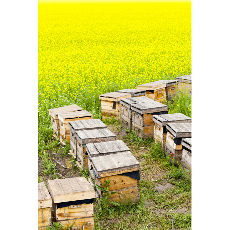 Neylandville Beehives par Hanhanpeggy, H 18 po x l 12 po