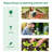 Outsunny Mini Greenhouse Portable Hot House For Plants With Large Zipper Windows For Outdoor, Indoor, Garden