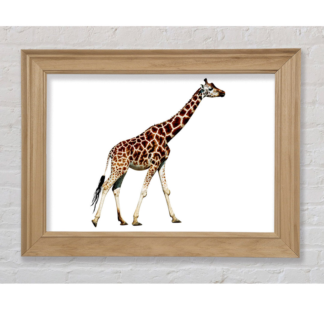 Giraffe Walk - Bilderrahmen Kunstdrucke