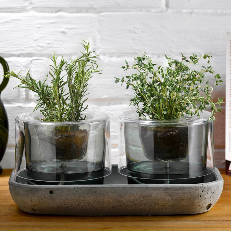 Roots Handmade Glass Planter