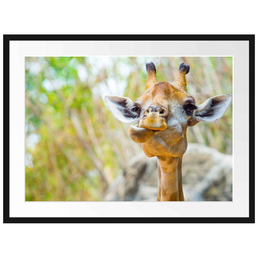 Gerahmtes Poster Giraffe in der Natur