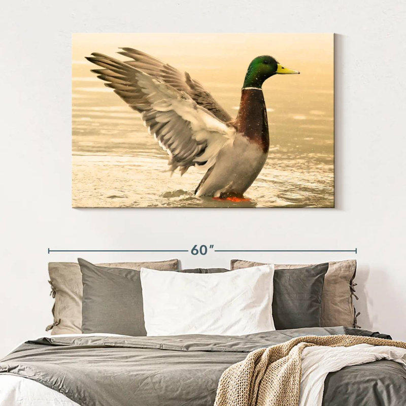 Canard colvert majestueux Brampt, H 34 po x l 51 po