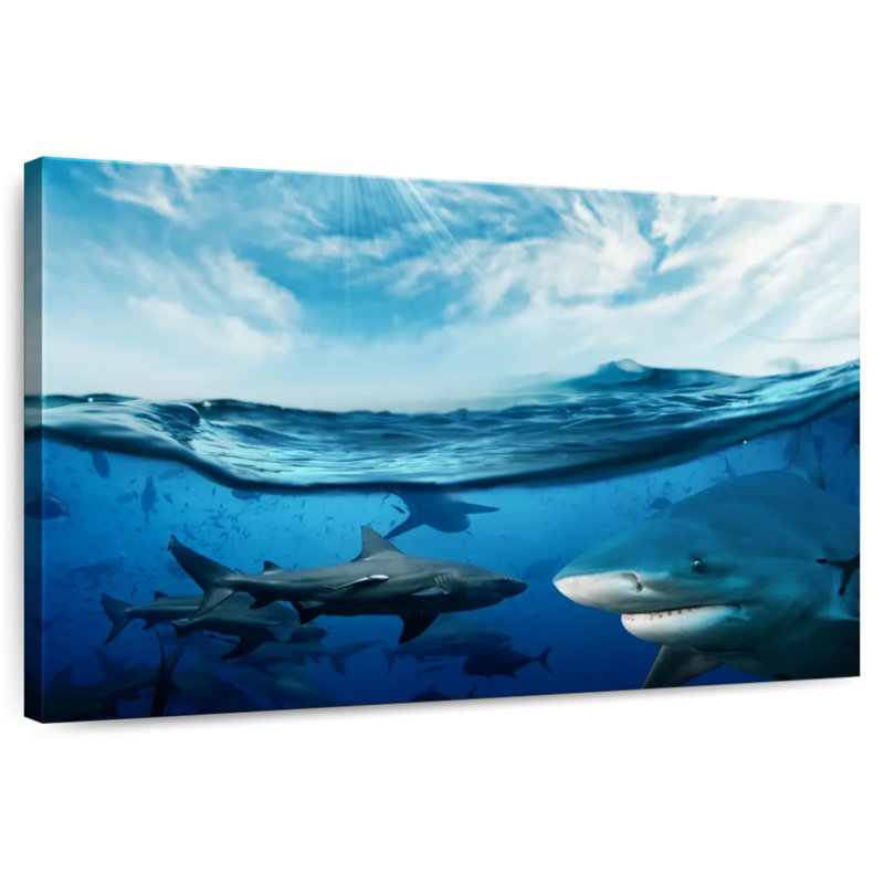 Shiver Of Sharks Sunshine, 16" H x 24" W