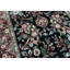 Wool Oriental Area Rug
