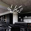 Ballet LED Chandelier