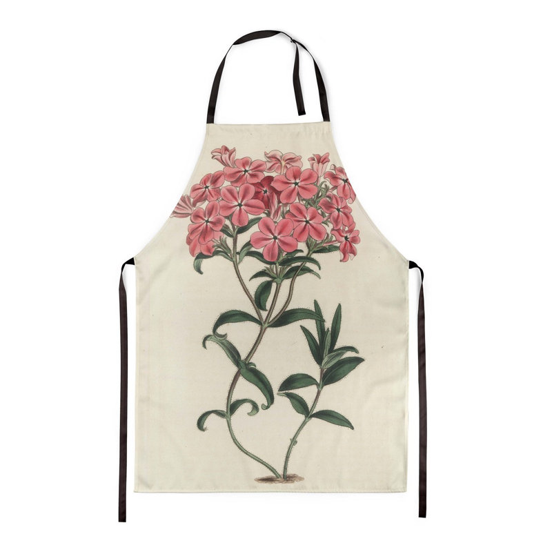Frasers Hairy Phlox - Botanical Aprons