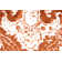 Oriental Hand Woven Area Rug