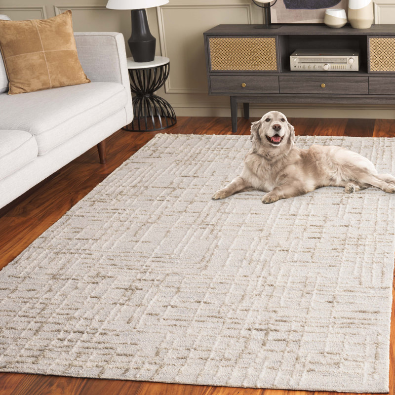 Tapis abstrait en laine / coton touffeté à la main Venesta en beige / gris / sauge, Rectangle 5 pi x 8 pi