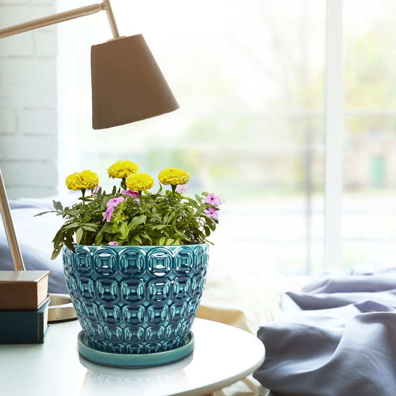 Pot Planter