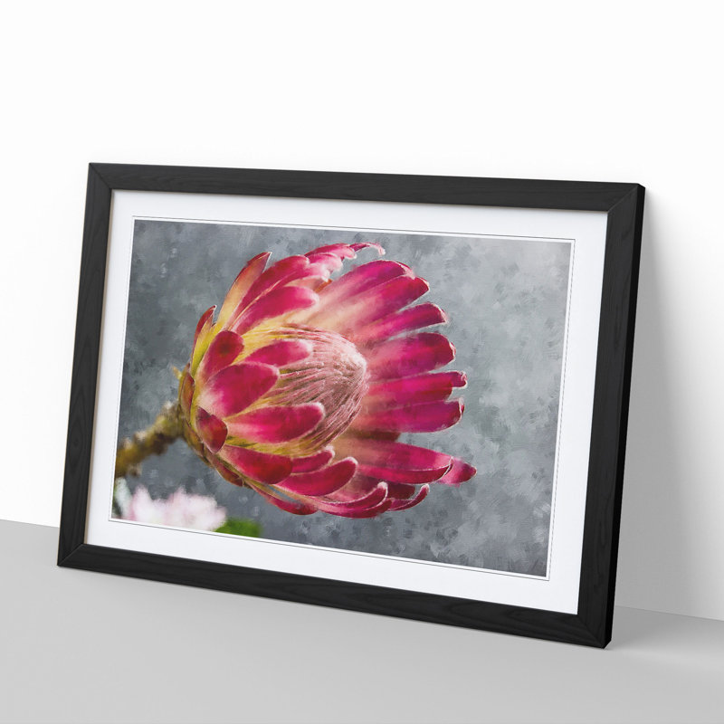 Pink Protea Flower - Framed Print, 27cm H x 36cm W x 2cm D, Black Framed