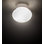 1 - Light Flush Mount