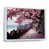 White Floater Framed